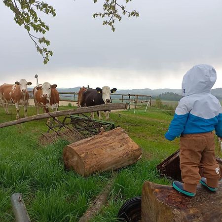 Ferienwohnung Im Muehlviertler Panorama Vierseithof Lembach im Mühlkreis Buitenkant foto